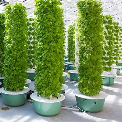 Hydroponic Tower Garden - 조명이 있는 에어로포닉 타워 가든 시스템
