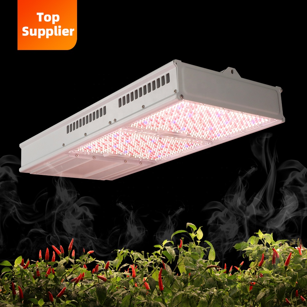Led Grow Light 1000W Full Spectrum - 비용 효율적인 600W 800W 탑라이트 풀