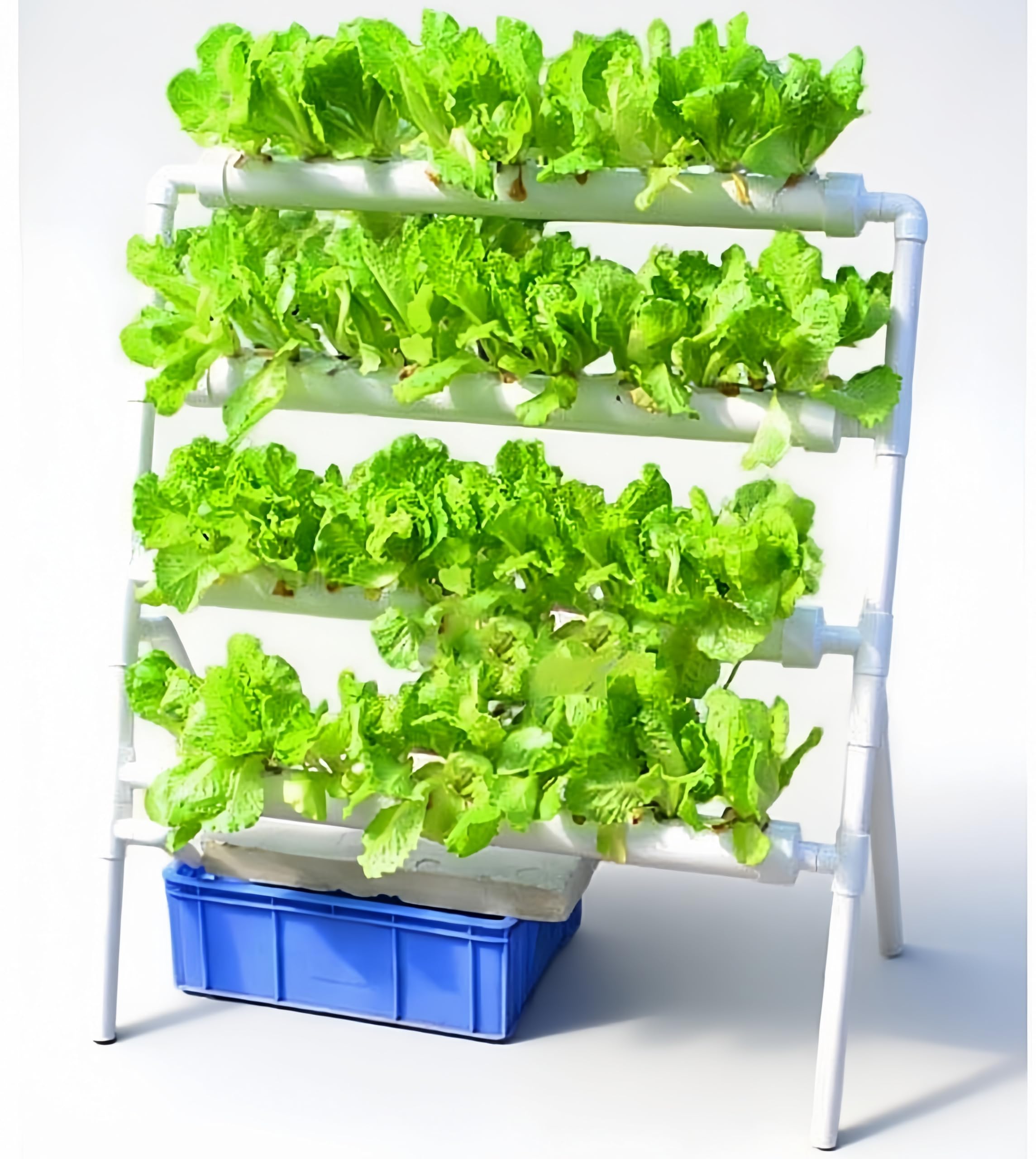 Hydroponic Growing System 36 Site - 수경재배 시스템 36개 재배 위치 3단