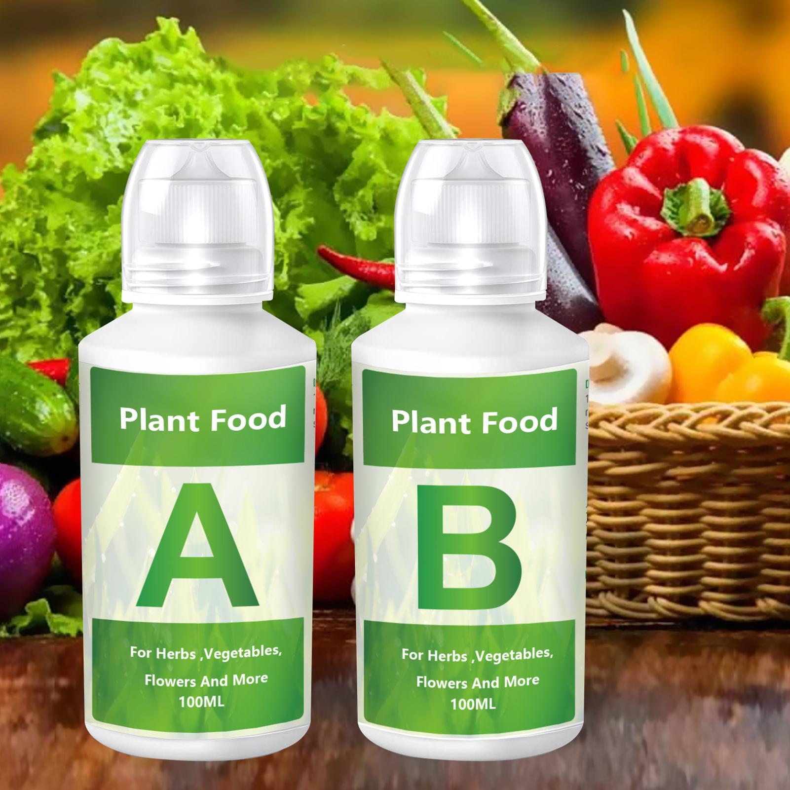 Hydroponic Nutrient A B Set - 수경재배 식물 비료 온실 채소 영양액