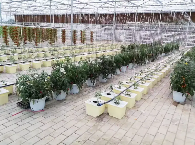 Dwc Bucket System 5 Gallon - 새로운 심층수경재배 5갤런 4 6 8