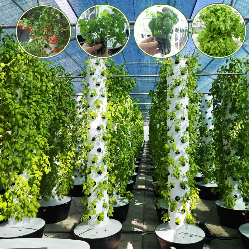 Hydroponic Tower Garden - 리네 에어로포닉 수직 재배 농법 수경재배