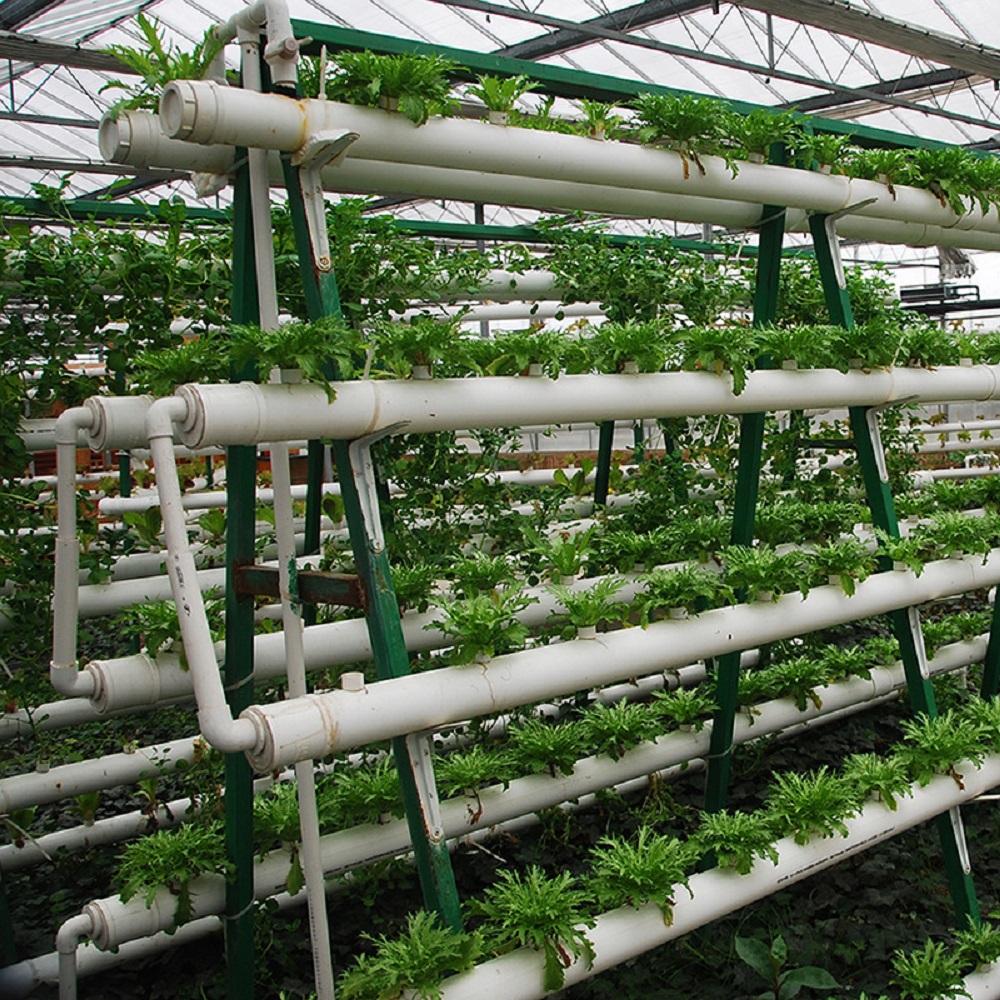 제조업체 무토양 재배 장비 DIY 수직 수경 파이프 심 - Hydroponic Tower Garden 리뷰 및 가격
