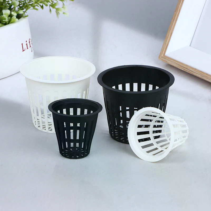10개입 2인치 3인치 난초 재배용 수경재배 컵 식물  - Hydroponic Net Pots 3 Inch 리뷰 및 가격