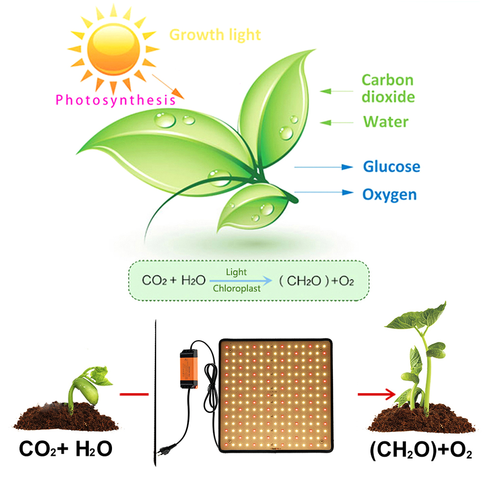 1000W 성장등 패널 LED 식물 성장 조명 풀 스펙 - Led Grow Light 1000W Full Spectrum 리뷰 및 가격