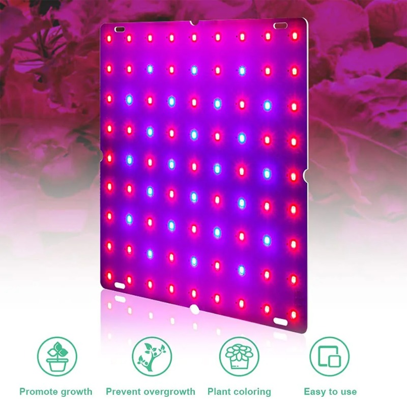 LED 식물 성장 빛 1000W/2000W 전체 스펙트 - Led Grow Light 1000W Full Spectrum 리뷰 및 가격