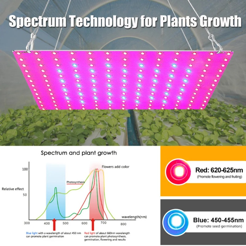 LED 식물 성장 빛 1000W/2000W 전체 스펙트 - Led Grow Light 1000W Full Spectrum 리뷰 및 가격