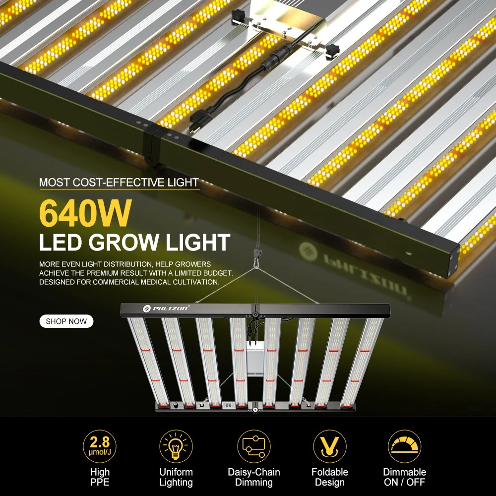 스톡 필리존 풀 스펙트럼 라이트 640W 800W 10 - Led Grow Light Bar 640W 리뷰 및 가격