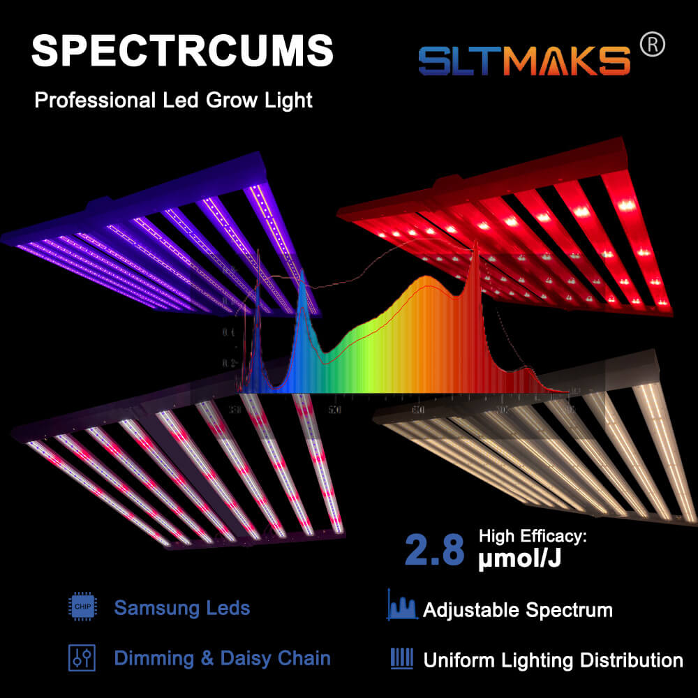 미국산 PPFD 2800 Umol/S LED 식물등 1 - Led Grow Light 1000W Full Spectrum 리뷰 및 가격