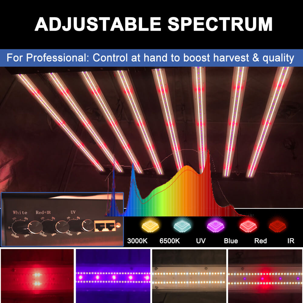 미국산 PPFD 2800 Umol/S LED 식물등 1 - Led Grow Light 1000W Full Spectrum 리뷰 및 가격