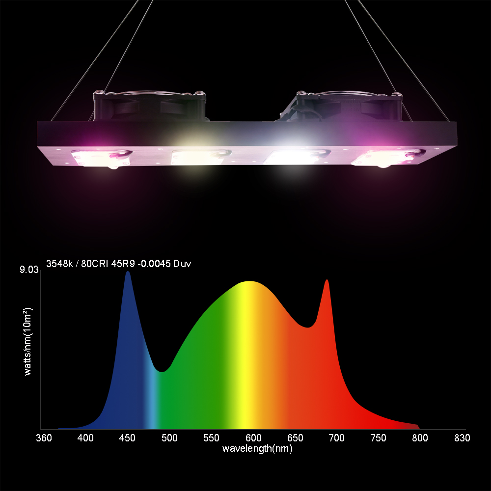 LED 식물 성장 빛 1000W/2000W 전체 스펙트 - Led Grow Light 1000W Full Spectrum 리뷰 및 가격