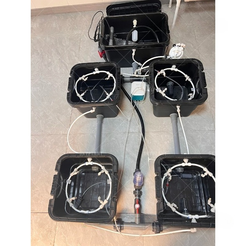 5갤런 더치 버킷 수경재배 버블 자동 정원 관개 시스템 - Dwc Bucket System 5 Gallon 리뷰 및 가격