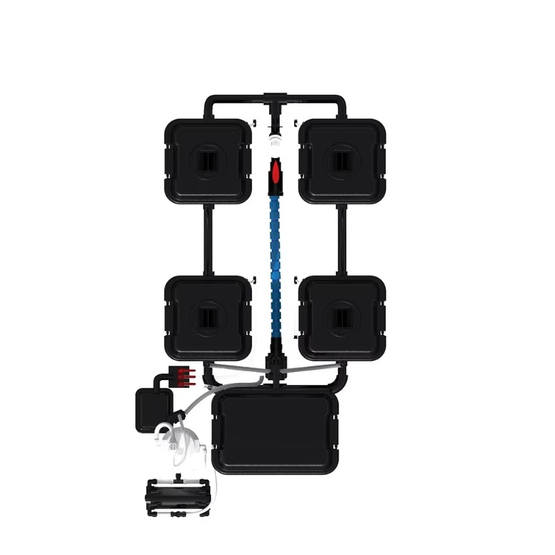 5갤런 더치 버킷 수경재배 버블 자동 정원 관개 시스템 - Dwc Bucket System 5 Gallon 리뷰 및 가격