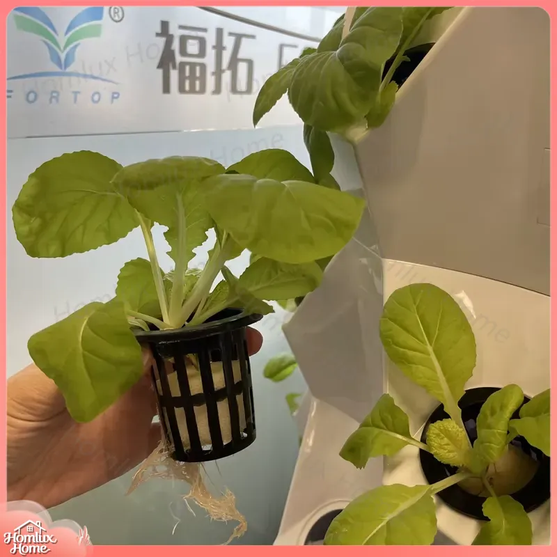 수직 정원 타워, 가정 농업용 수경 시스템, 파인애플  - Hydroponic Tower Garden 리뷰 및 가격