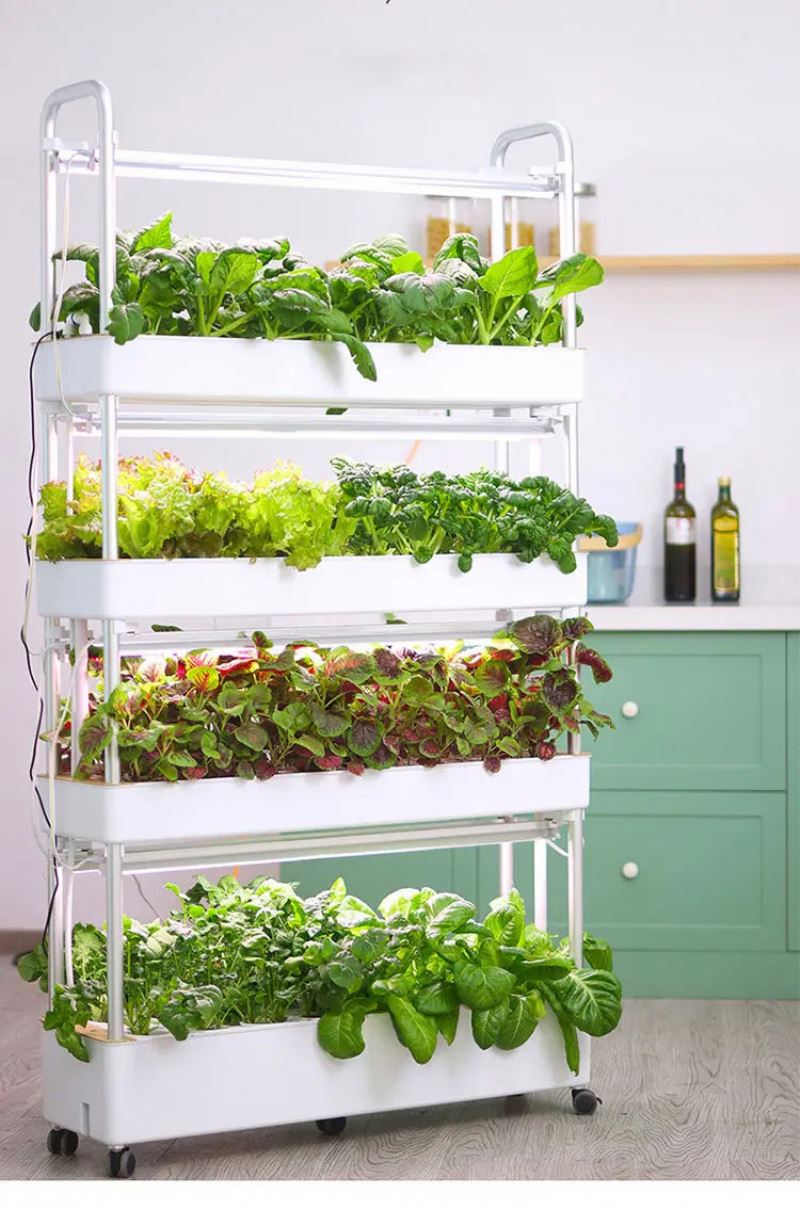 가정용 수직 수경 재배 시스템, 실내 온실, 토양 없이 - Hydroponic Tower Garden 리뷰 및 가격