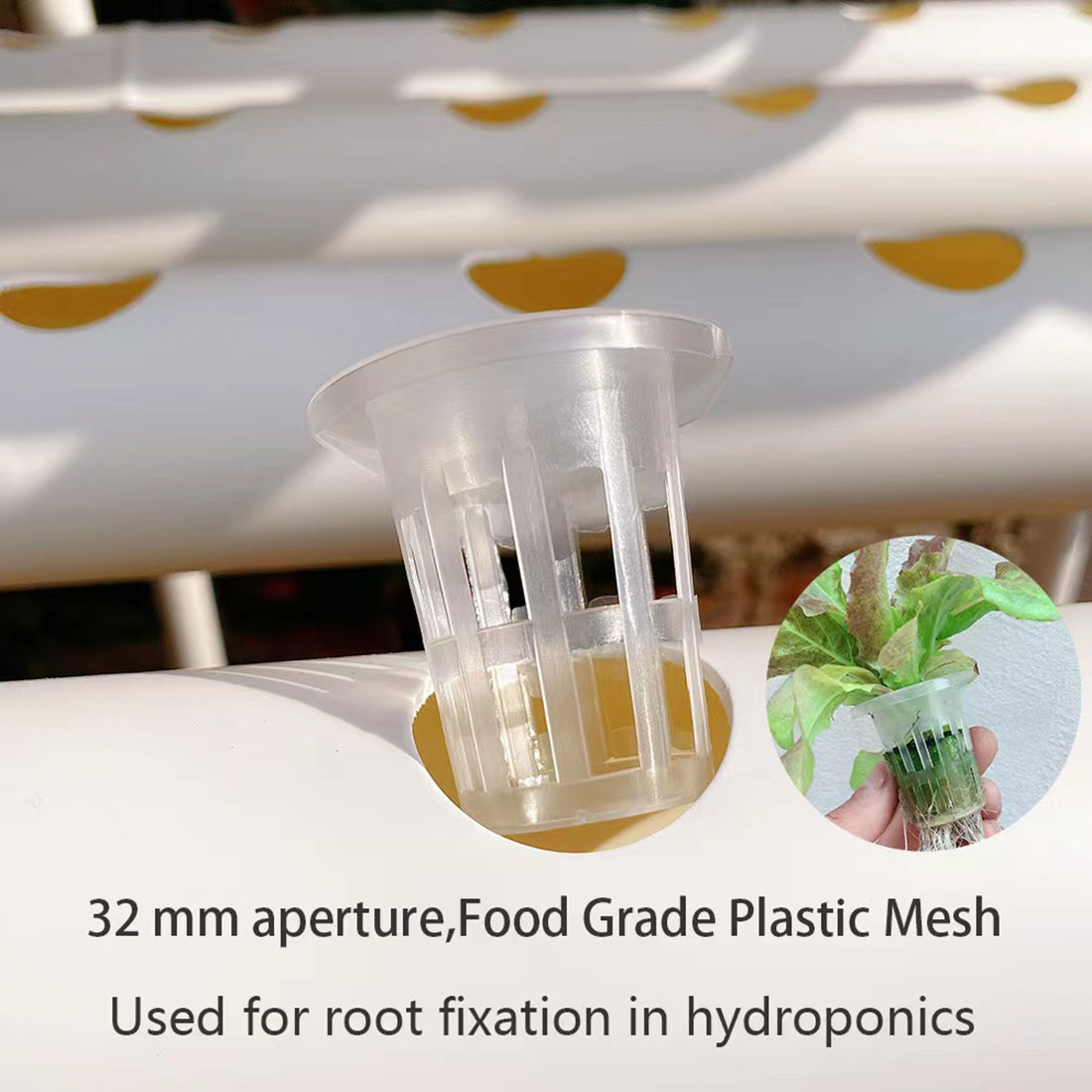 식물 수경 재배 시스템 재배 키트, 해충 방지, 무토양 - Hydroponic Growing System 36 Site 리뷰 및 가격