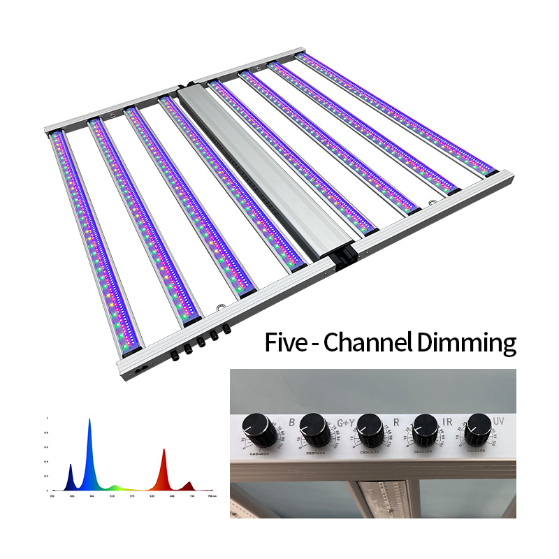 원예용 5방향 디밍 LM301H Lm281B 식물 재배 - Led Grow Light 1000W Full Spectrum 리뷰 및 가격