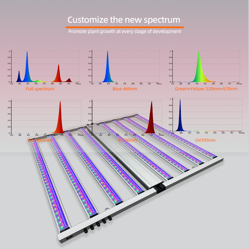 원예용 5방향 디밍 LM301H Lm281B 식물 재배 - Led Grow Light 1000W Full Spectrum 리뷰 및 가격