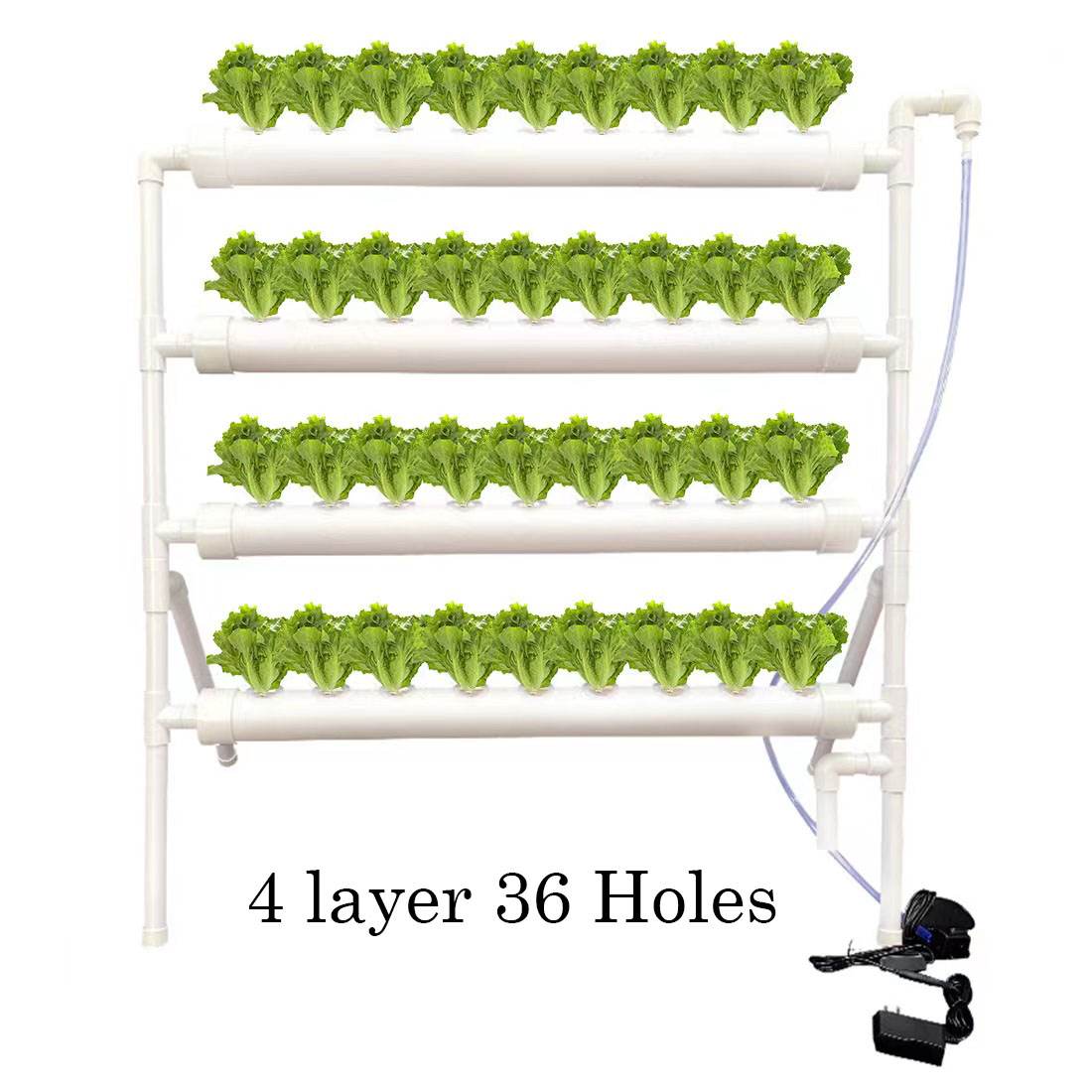 36개 사이트 식물 수경재배 시스템 재배 키트 묘목 화 - Hydroponic Growing System 36 Site 리뷰 및 가격