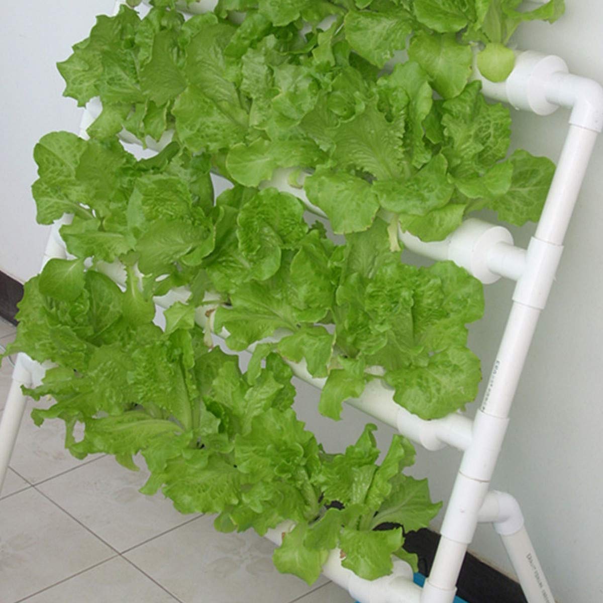 수경재배 시스템 36개 재배 위치 3단 수경재배 시스템 - Hydroponic Growing System 36 Site 리뷰 및 가격