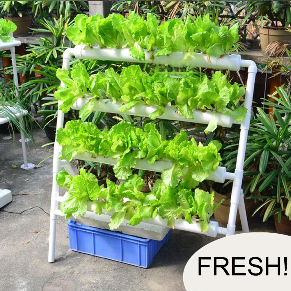 수경재배 시스템 36개 재배 위치 3단 수경재배 시스템 - Hydroponic Growing System 36 Site 리뷰 및 가격