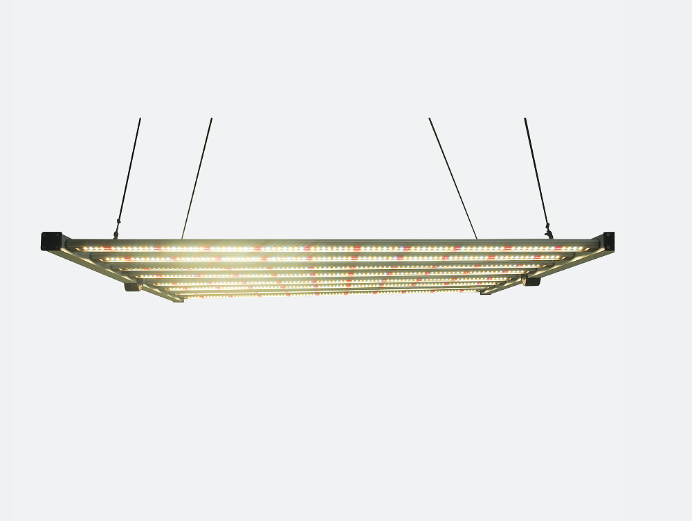 원예 온실 수경재배 LED 성장등 풀 스펙트럼 1000 - Led Grow Light 1000W Full Spectrum 리뷰 및 가격