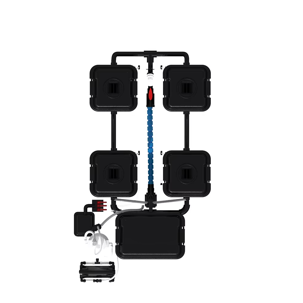 자동 정원 관개 시스템 DWC 수경 재배 버블 5갤런  - Dwc Bucket System 5 Gallon 리뷰 및 가격