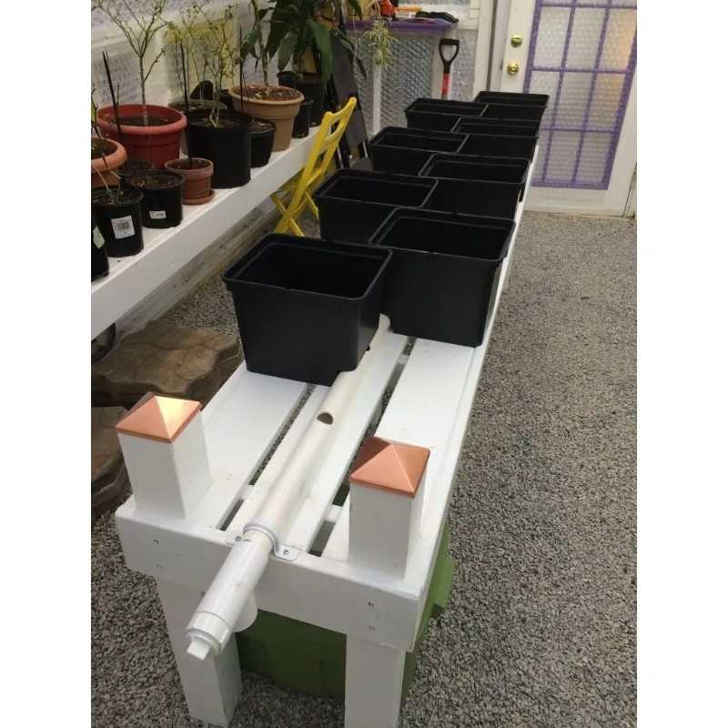 자동 정원 관개 시스템 DWC 수경 재배 버블 5갤런  - Dwc Bucket System 5 Gallon 리뷰 및 가격