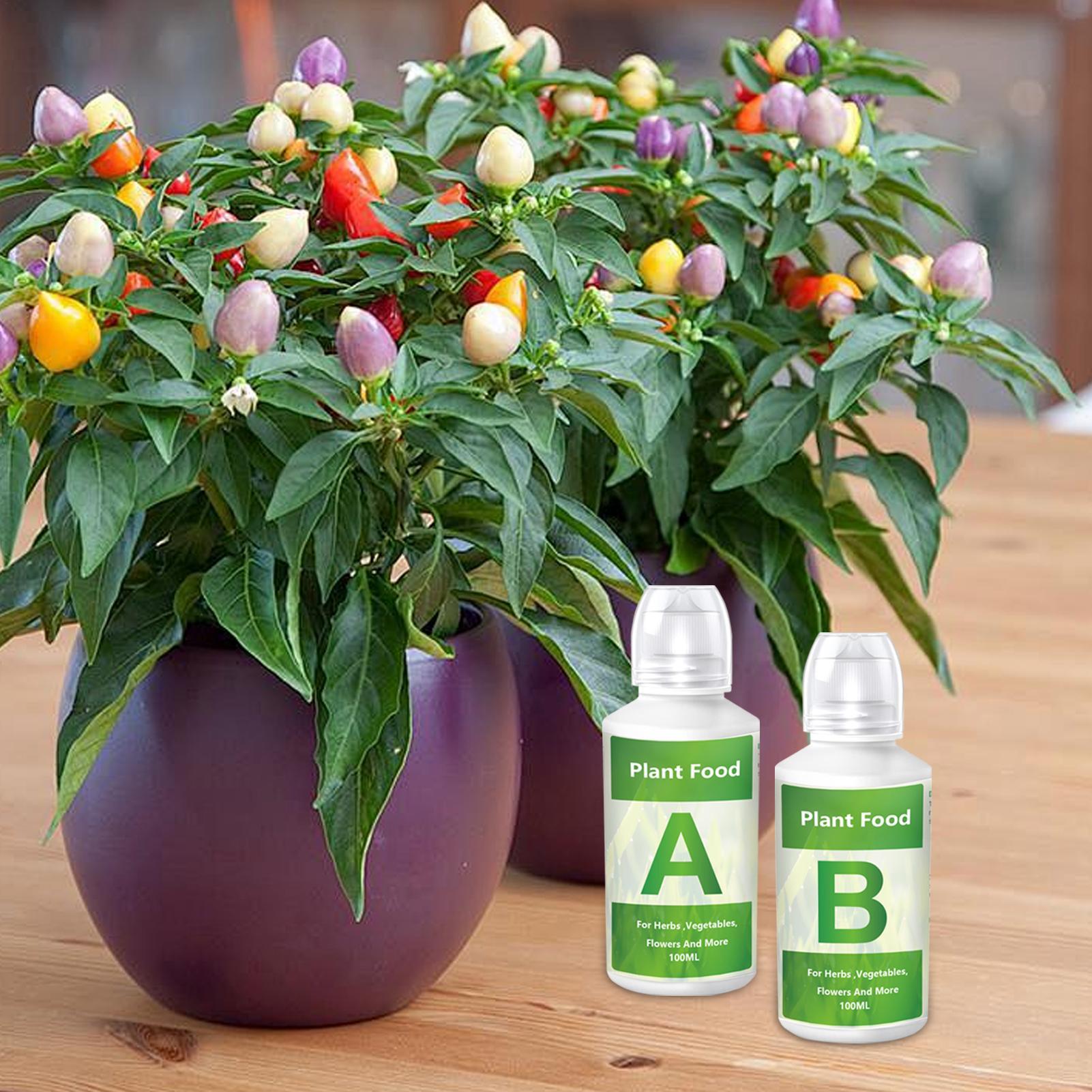 수경재배 식물 비료 온실 채소 영양액 A와 B 세트 유 - Hydroponic Nutrient A B Set 리뷰 및 가격