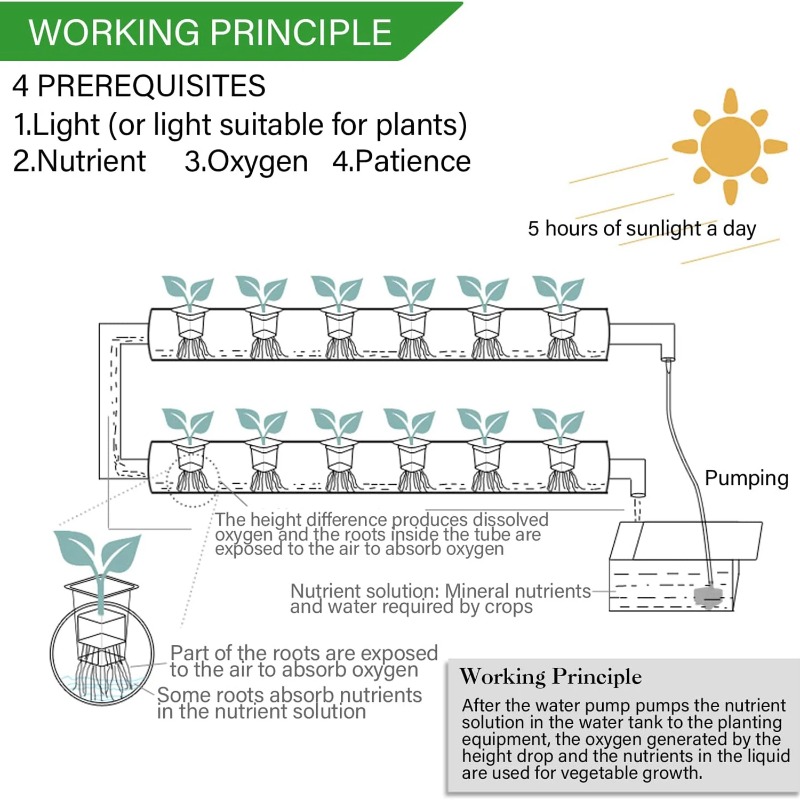수경재배 시스템 키트, BHTNYOO 36개 식물 재배 - Hydroponic Growing System 36 Site 리뷰 및 가격