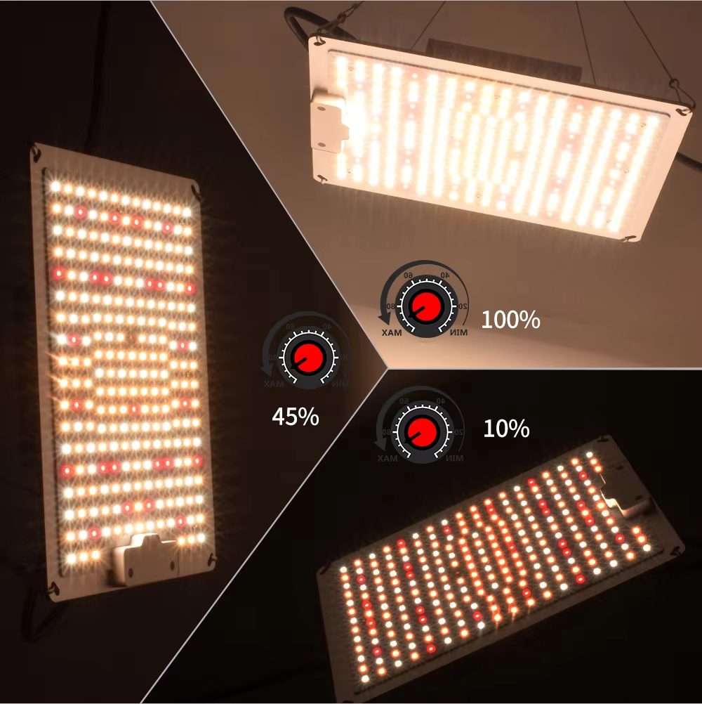 풀 스펙트럼 QBC 1000W 281B 디밍 가능 양자 - Led Grow Light 1000W Full Spectrum 리뷰 및 가격