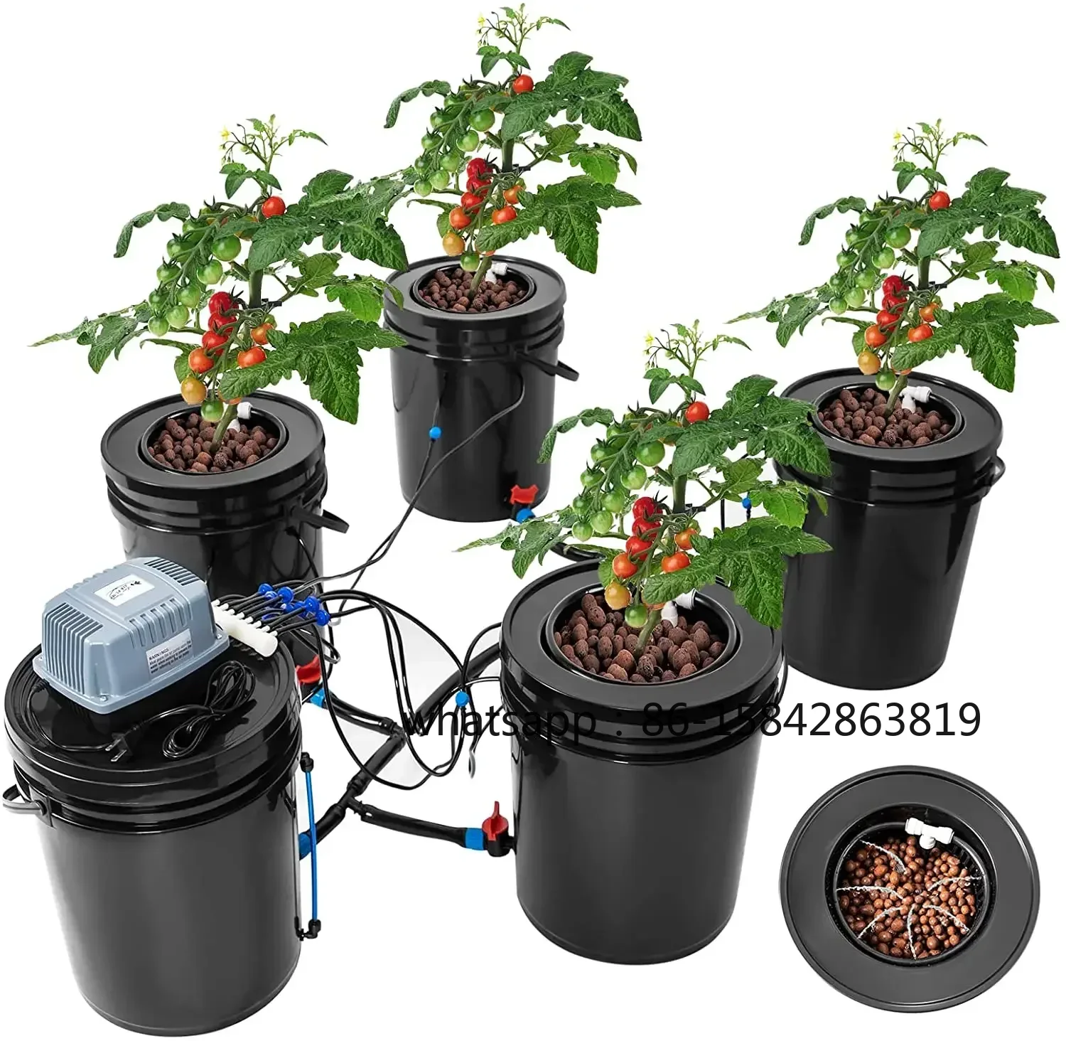 새로운 심층수경재배 5갤런 버블 플로우 버킷 DWC R - Dwc Bucket System 5 Gallon 리뷰 및 가격