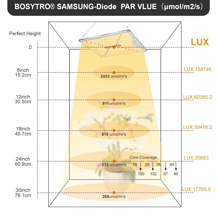 BOSYTRO LED 식물 램프, 삼성 다이오드 양자  - Led Grow Light 1000W Full Spectrum 리뷰 및 가격