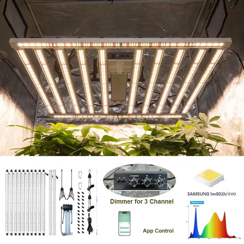 4x4 재배 텐트 완전 세트 480W LM301H Ev - Carbon Filter Grow 6 Inch 리뷰 및 가격
