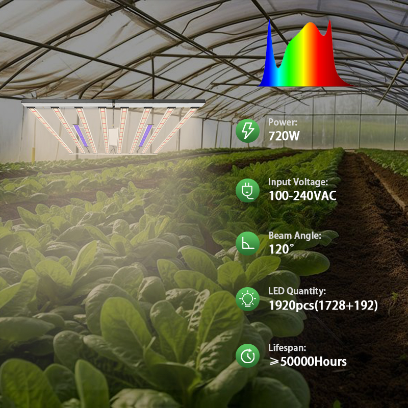 1000W LED 식물등 풀 스펙트럼 접이식 디밍 가능 - Led Grow Light 1000W Full Spectrum 리뷰 및 가격