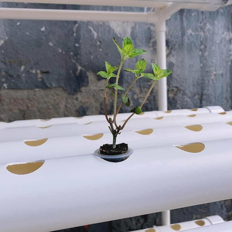 수경 재배 식물 재배기, 자동 수경 재배 시스템, 무토 - Hydroponic Growing System 36 Site 리뷰 및 가격