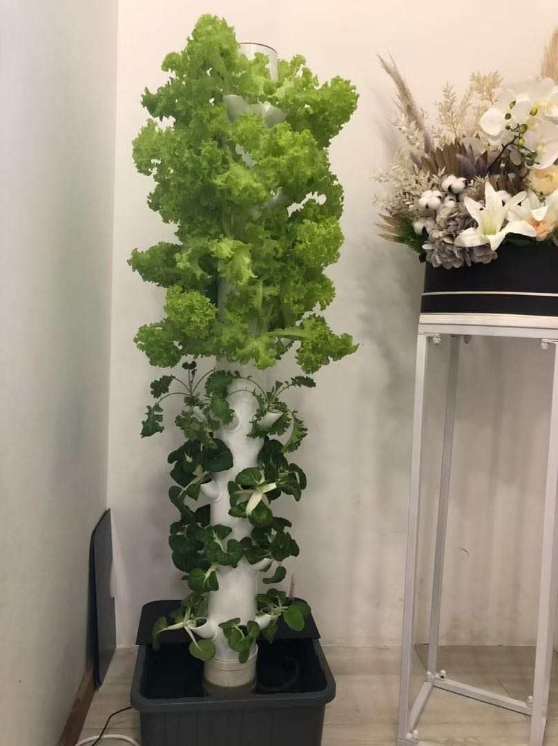 수직 수경 재배 타워 에어로포닉 타워 (허브, 과일 및 - Hydroponic Tower Garden 리뷰 및 가격