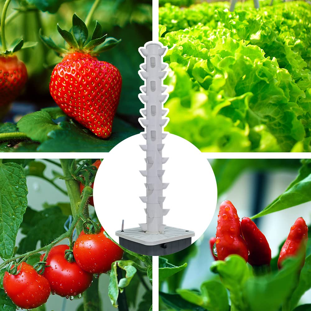 수직 수경 재배 타워 에어로포닉 타워 (허브, 과일 및 - Hydroponic Tower Garden 리뷰 및 가격