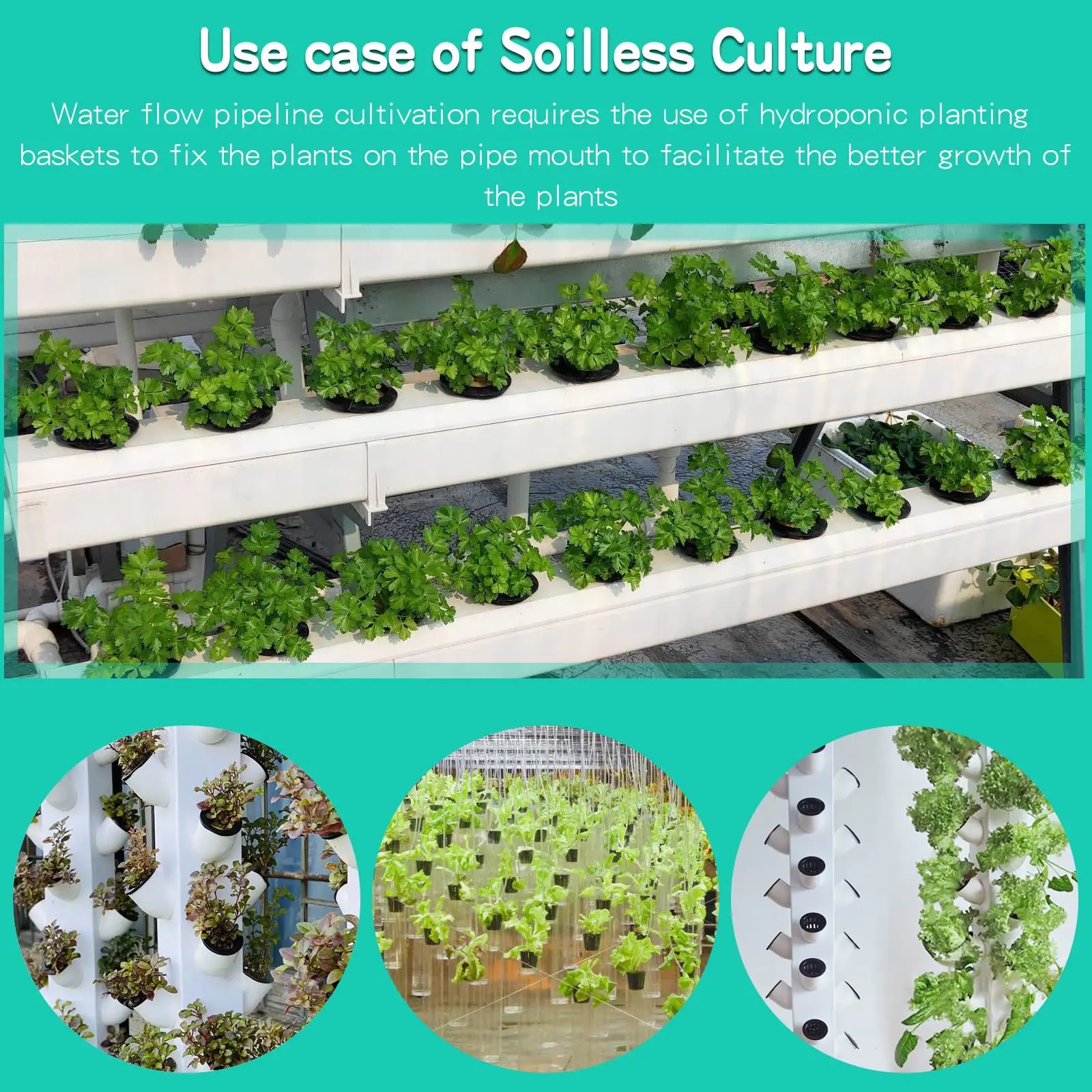 수경재배 컵 슬롯 메쉬 와이드 립 필터, 식물 그물 냄 - Hydroponic Net Pots 3 Inch 리뷰 및 가격