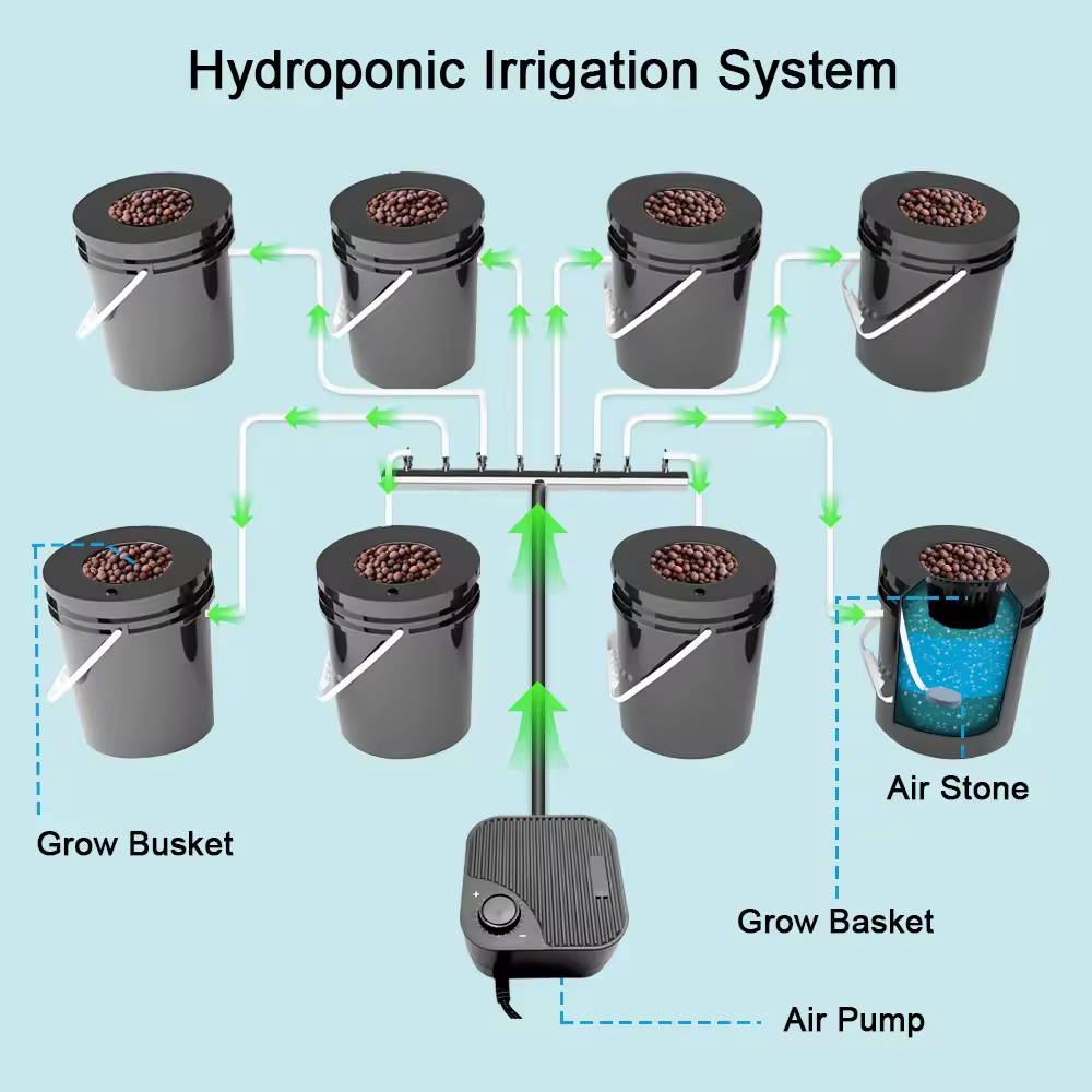 신형 물 공급 농장 심층 양식 5갤런 8 10 12 필 - Dwc Bucket System 5 Gallon 리뷰 및 가격