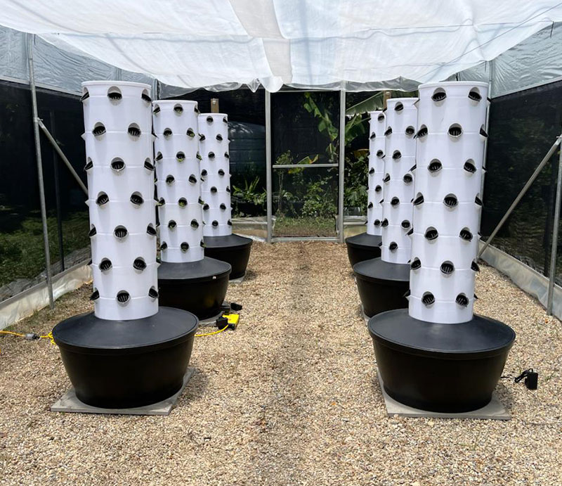 리네 에어로포닉 수직 재배 농법 수경재배 수직 타워 가 - Hydroponic Tower Garden 리뷰 및 가격